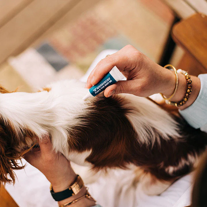 12-Month Flea & Tick Spot On for Large Dogs - Image 2