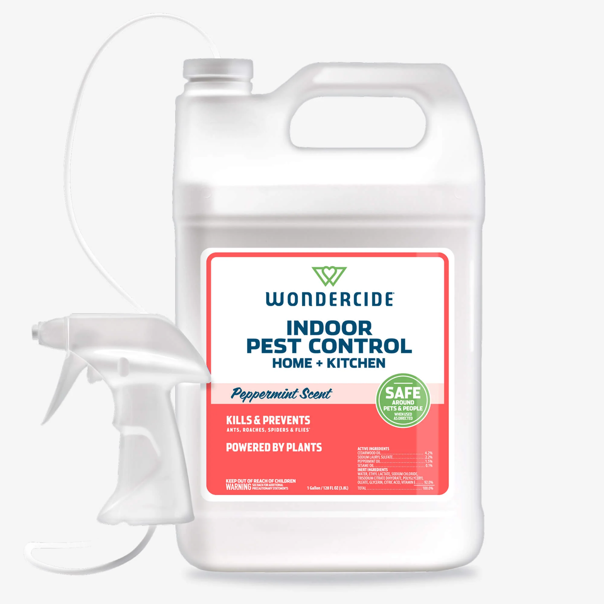 Indoor Pest Control for Home + Kitchen - Image 8