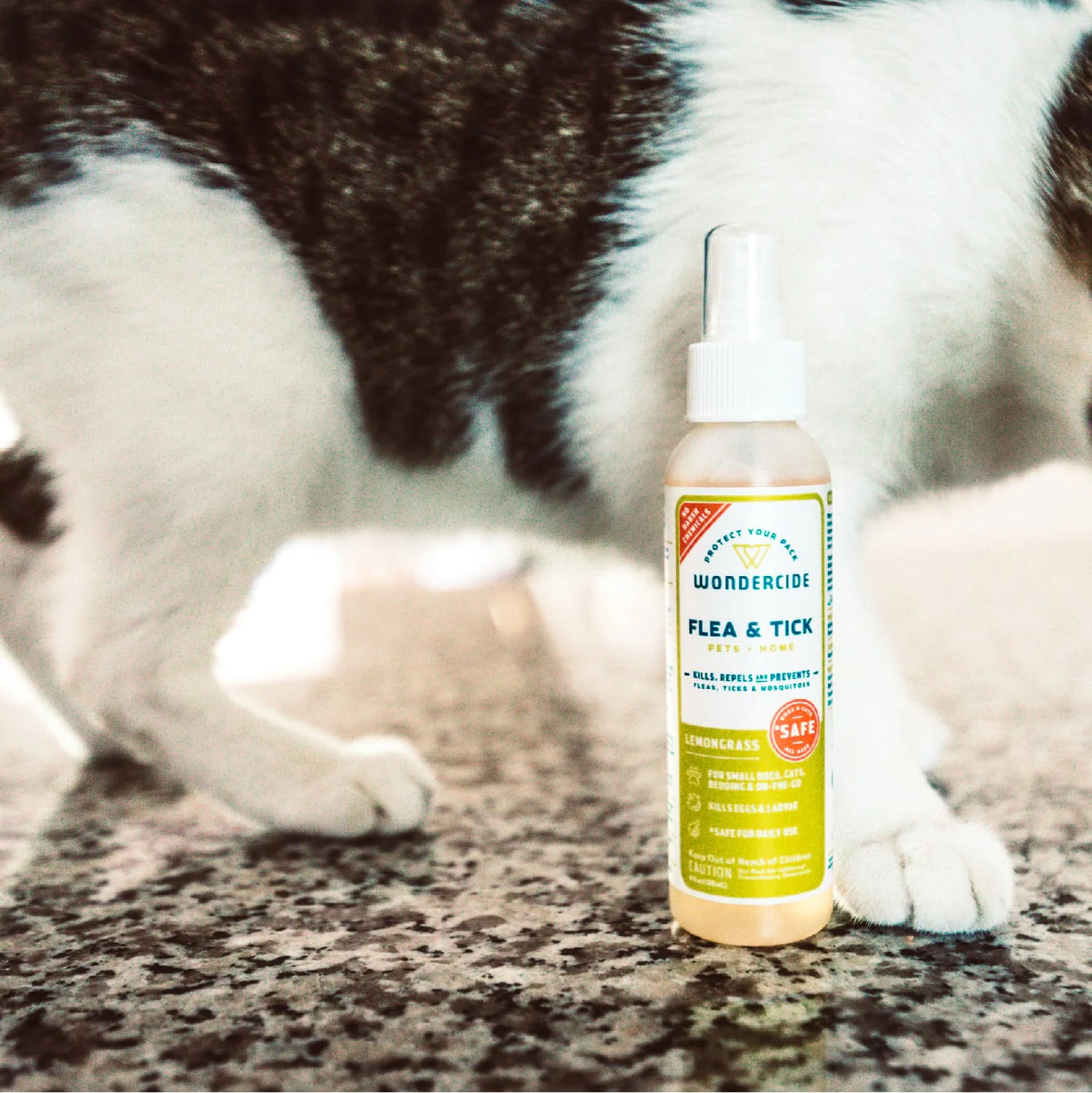 4 oz. Flea & Tick Spray for Pets + Home - Image 2