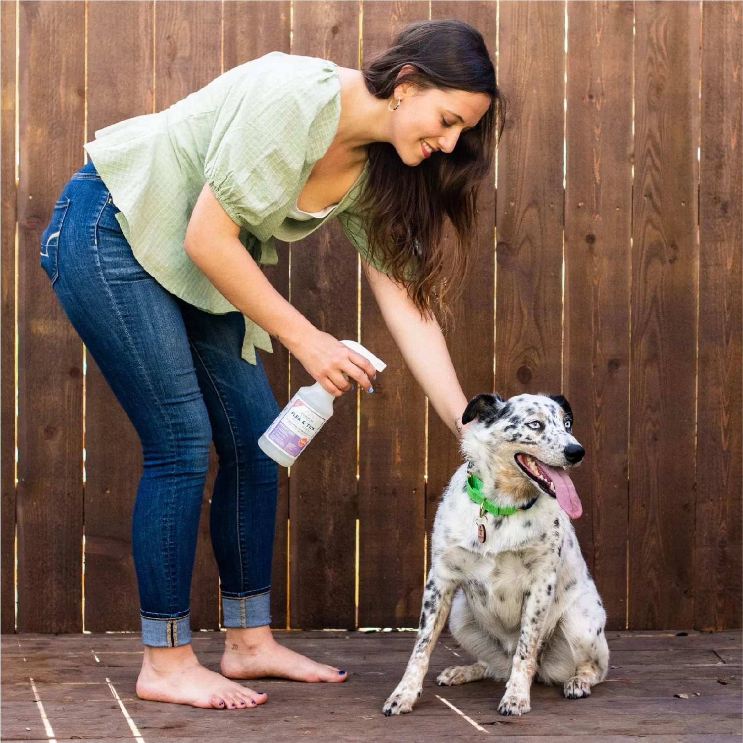 Flea & Tick Spray for Pets + Home, Gallon Refill - Image 5